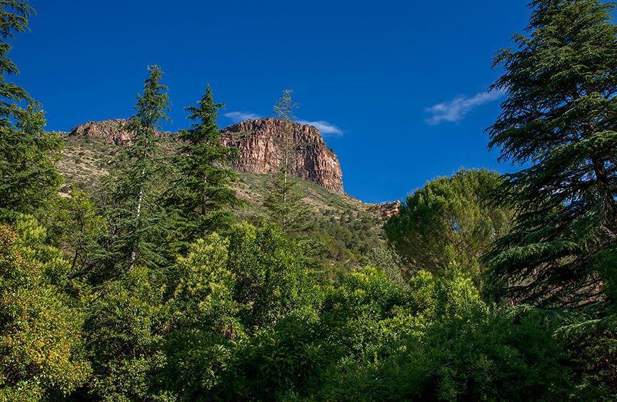 Briar Patch Inn Sedona Ngoại thất bức ảnh